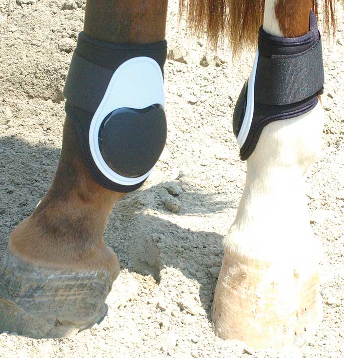 air shock fetlock boot